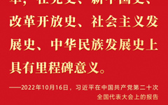 新时代十年的伟大变革，在党史、新中国史、改革开放史、社会主义发展史、中华民族发展史上具有里程碑意义 。
