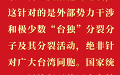 解决台湾 问题是中国人自己的事