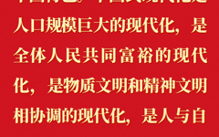 中国式现代化，是中国共产党领导的社会主义现代化，既有各国现代化的 共同特征，更有 基于自己国情的中国特色。