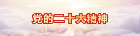 党的二十大精神