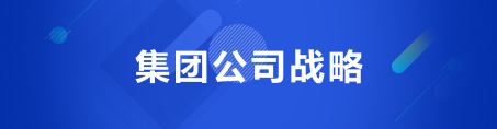 集团公司战略