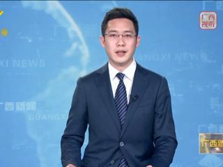 广西与国家电投共商推进白龙核电项目建设