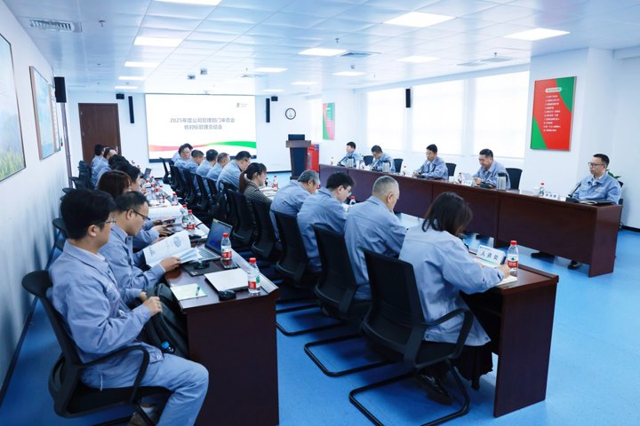 广西核电召开2025年度管理部门审查会暨对标管理总结会议